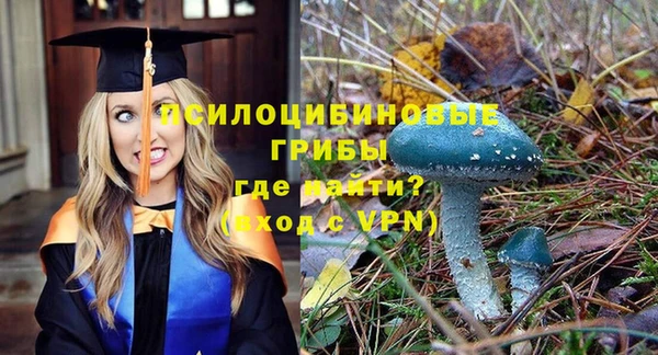 MDMA Premium VHQ Вяземский