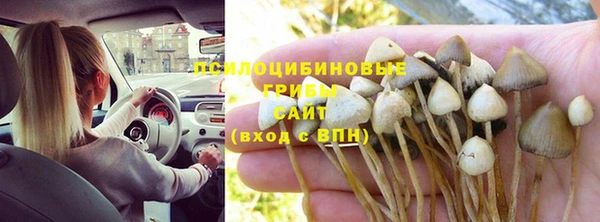 первитин Вязьма
