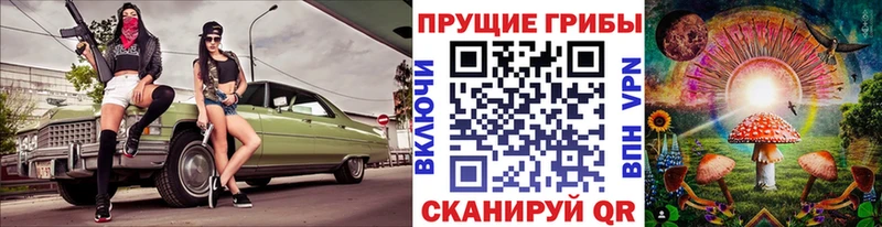 Псилоцибиновые грибы прущие грибы  Купить закладки  Медвежьегорск 