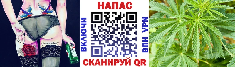 Купить где  Медвежьегорск  МАРИХУАНА SATIVA & INDICA 